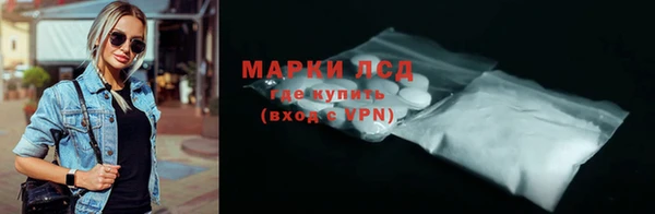 ECSTASY Алзамай