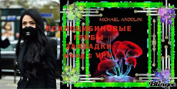 винт Абаза