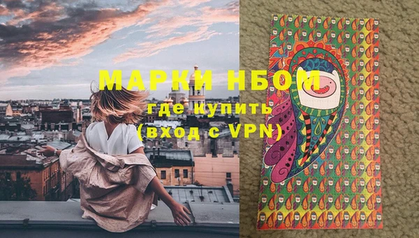 ECSTASY Алзамай