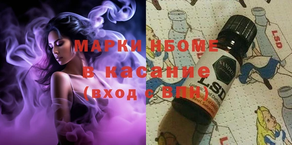 ECSTASY Алзамай