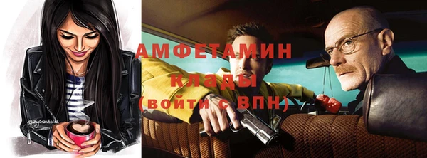винт Абаза