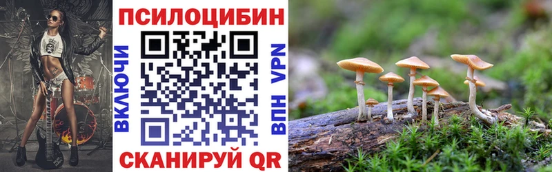 где можно купить наркотик  Галич  Галлюциногенные грибы мицелий 